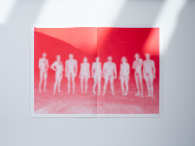 Journal of a Friendship