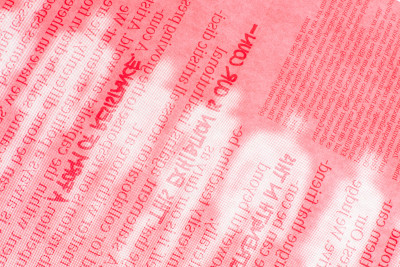 Journal of a Friendship